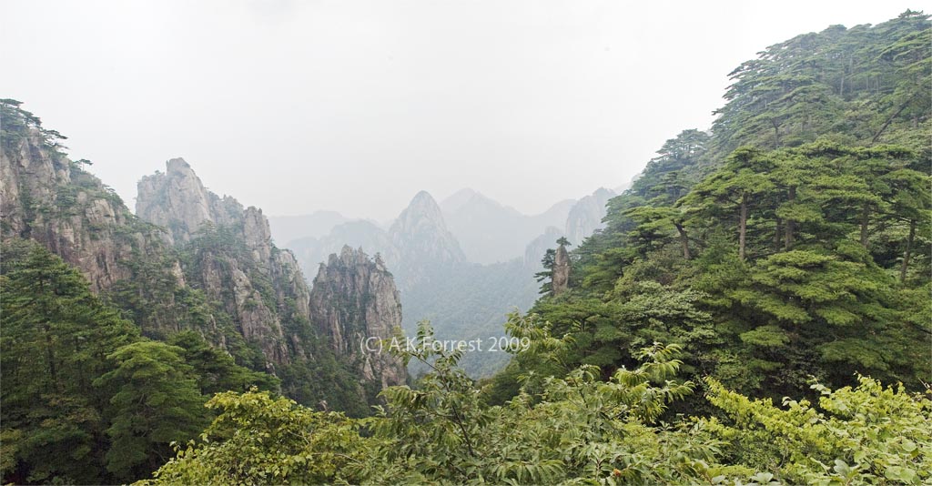 huang shan mountains
